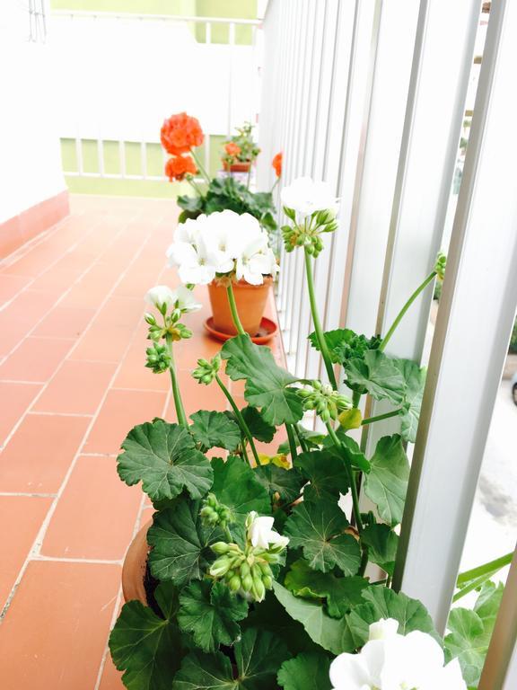 Axarquia Apartments Nerja Bagian luar foto